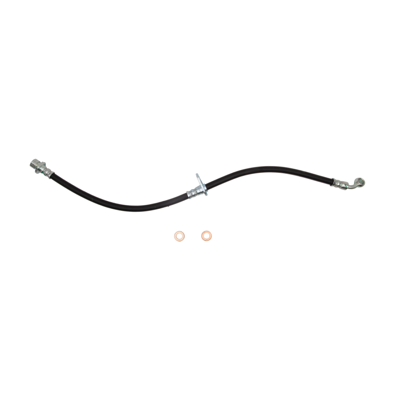 Honda Civic Brake Hose - Front - R1 Concepts - `01-`05